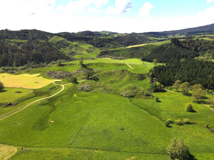 1/1745 Arapuni Road Parawera_18