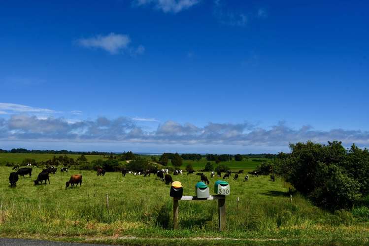 366 Oparara Loop Road Karamea_5