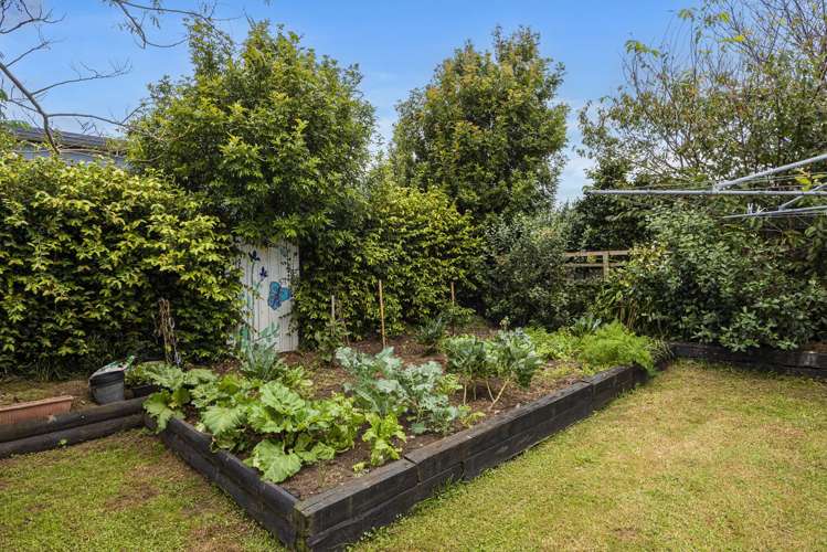 259a One Tree Point Road One Tree Point_17