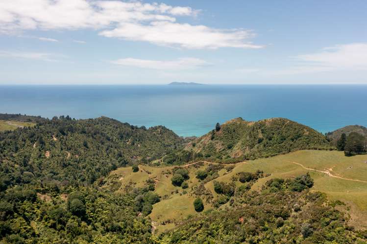 227 Heard Road Waihi Beach_25