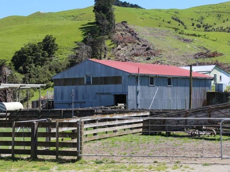 858 Oporae Road Weber_5