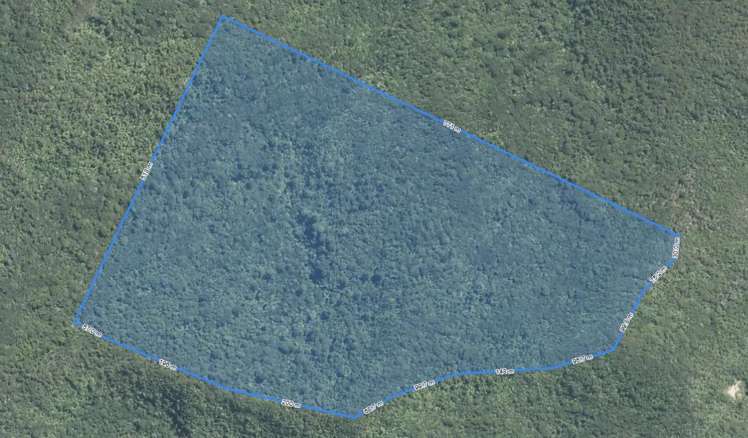 Allot 50 Parish Aotea Rosalie Bay Road Great Barrier Island_1