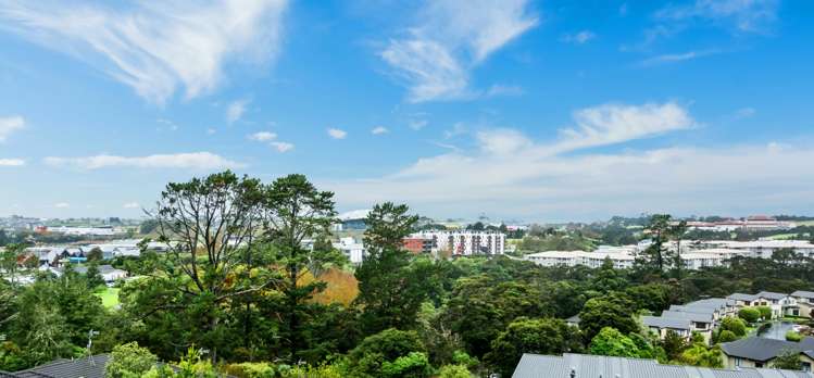 9/17 Georgia Terrace Albany_15