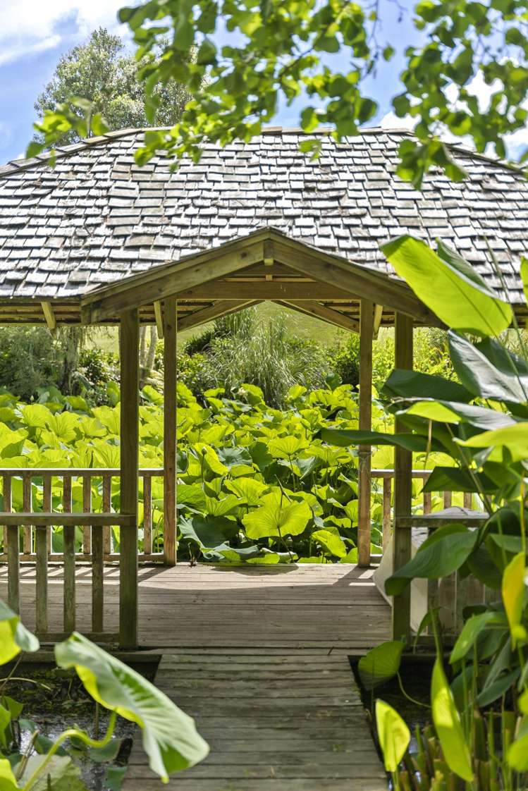 247 Broomfields Road Whitford_35