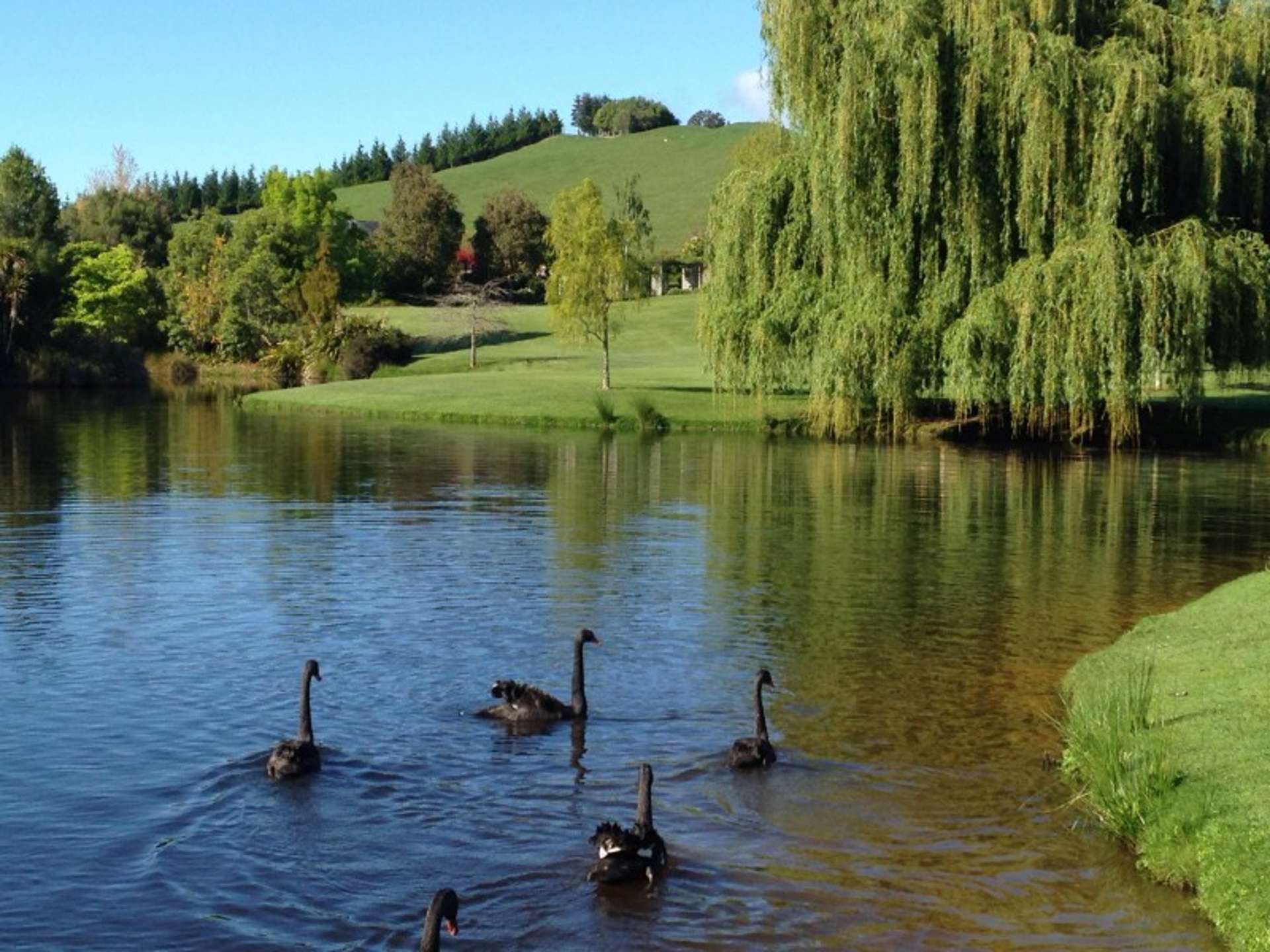 545 Waiwhero Road Ngatimoti_0