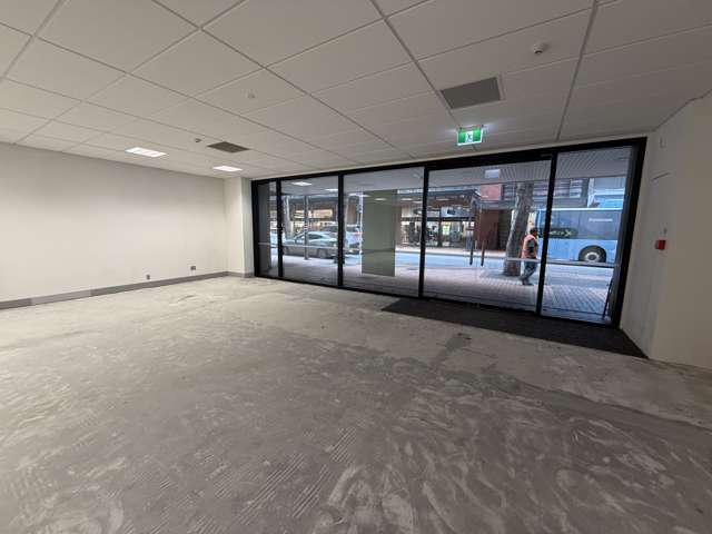 56 Willis Street Central Wellington Central_2