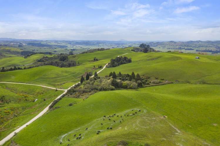 386 Troopers Road Te Kuiti_6