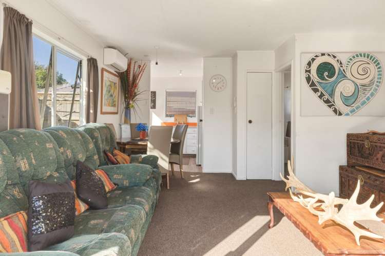 295B Dickson Road Papamoa_4