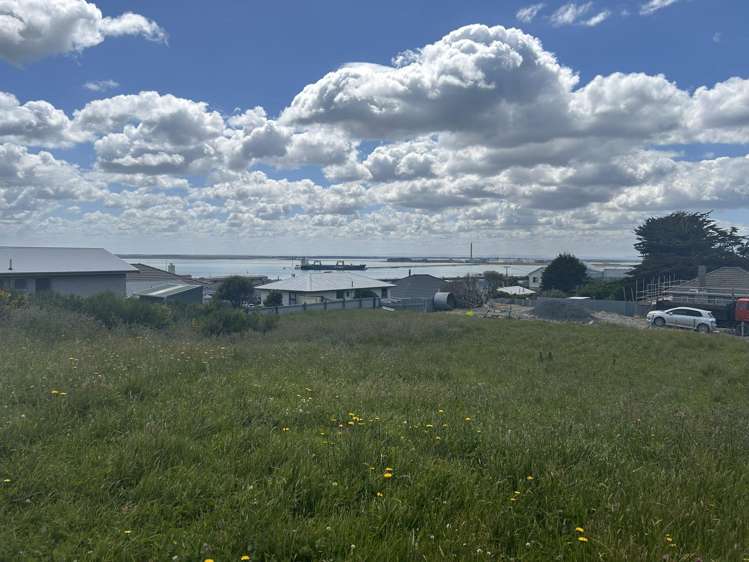 66 Shannon Street Bluff_1