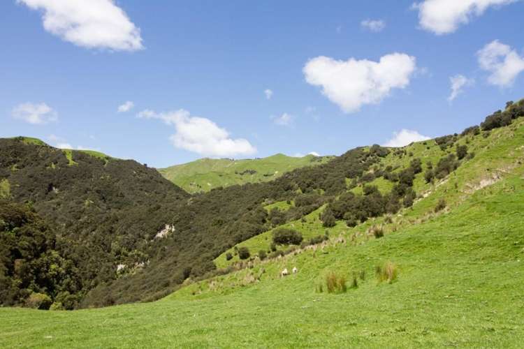4064 State Highway 4 Kakatahi_8