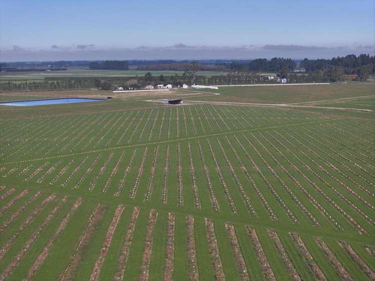 77 Bleak House Road Darfield_10