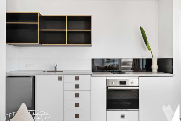 40 Roslyn Road Bluff Hill_41