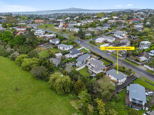 25 Apirana Avenue Glen Innes_2