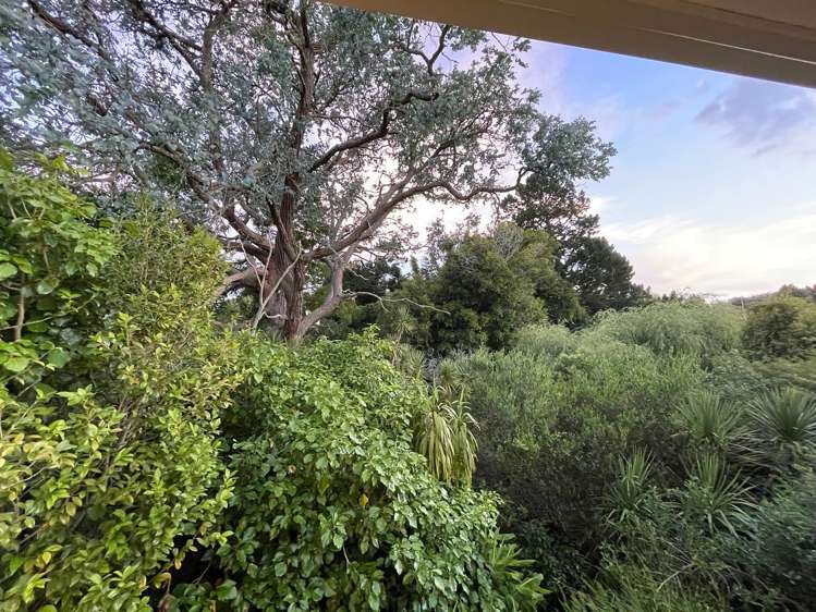 9 Palmer Avenue Glen Eden_5