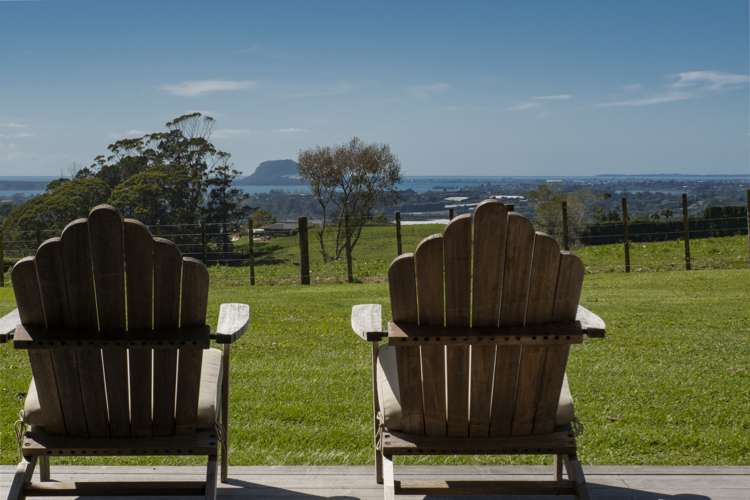 423c Youngson Road Whakamarama_2