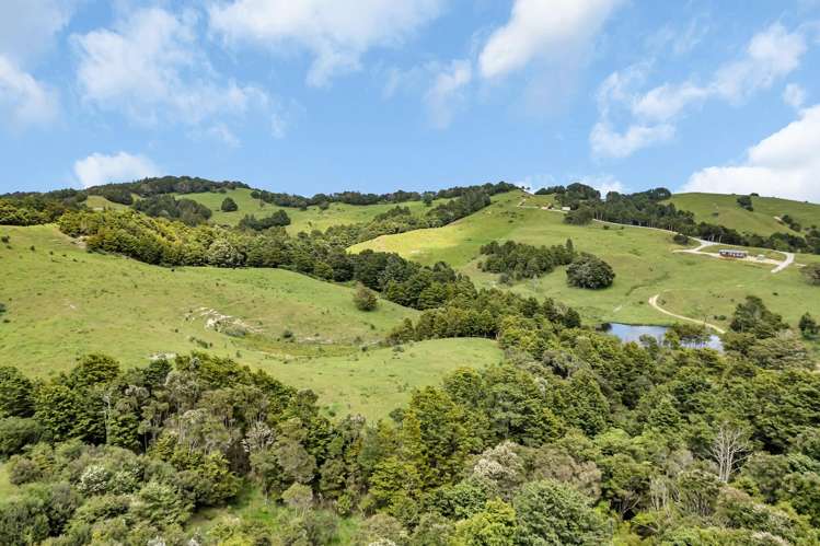 123 Homackey Road Matakohe_13