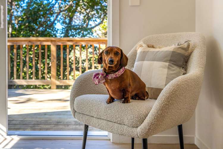 35 Wilma Road Ostend_8