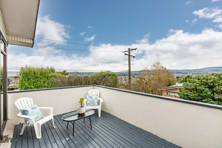 239 Highcliff Road Shiel Hill_13