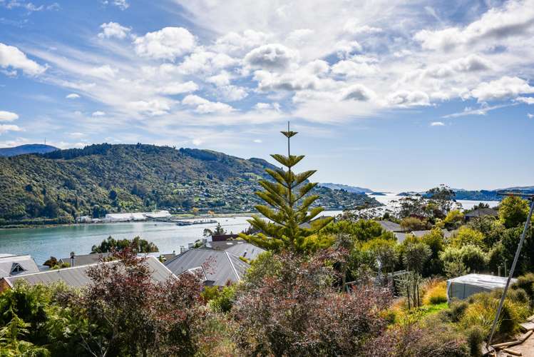 207 Larnach Road Waverley_33