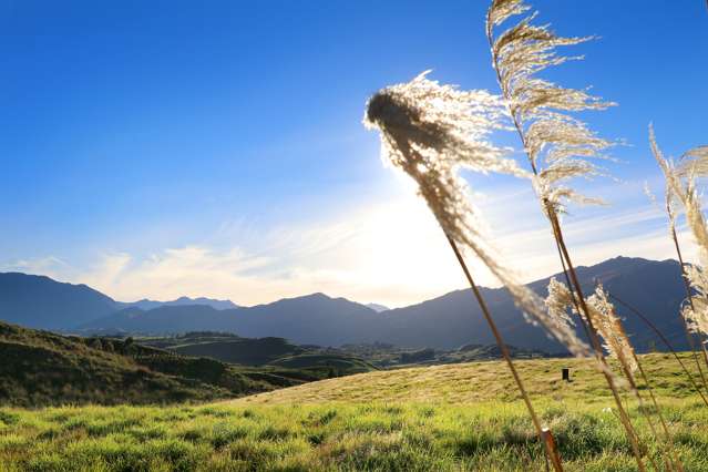 3 Haggitt Lane Dalefield/Wakatipu Basin_3