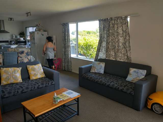 132 Seddon Street Pukekohe_3