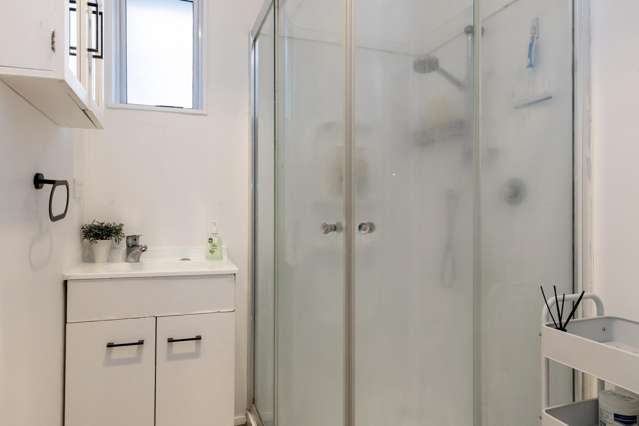 9A Brice Street Tauhara_3