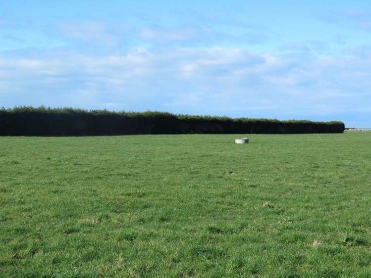 110 Donehue Road Clandeboye_31