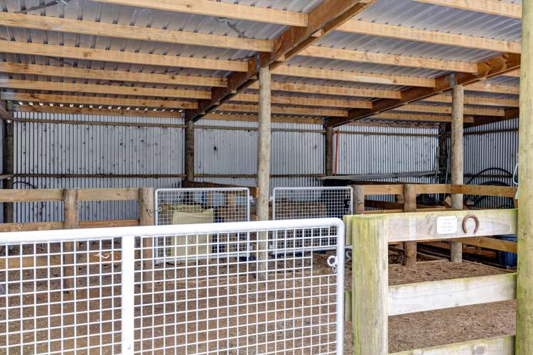 306 Upper Stuart Road Eltham_27