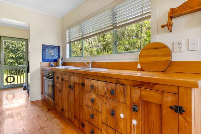 Arawhata Road Kaingaroa_1