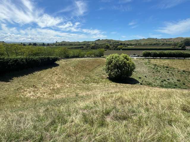 165 Breckenridge Road Puketapu_2