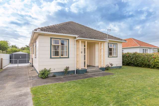 133 Rangiora Avenue Roslyn_1