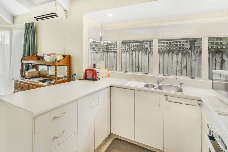 45b Livingstone Avenue Nawton_7