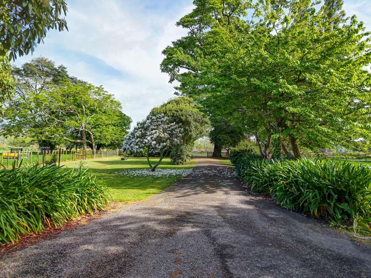 1512 Kauangaroa Road Fordell_31