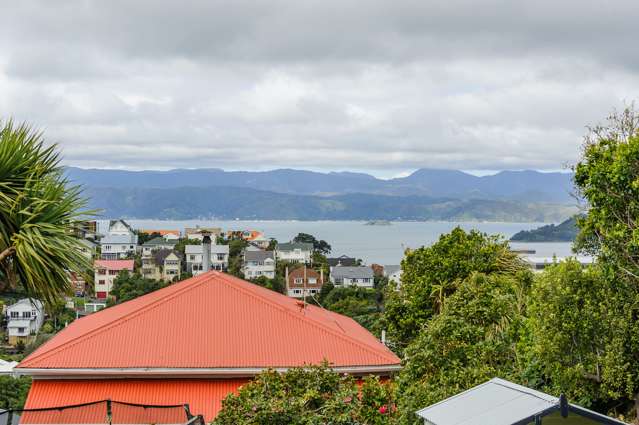 49 Pitt Street Wadestown_1