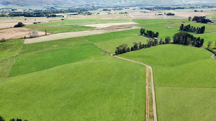 311 Hamilton Road Fairlie_5