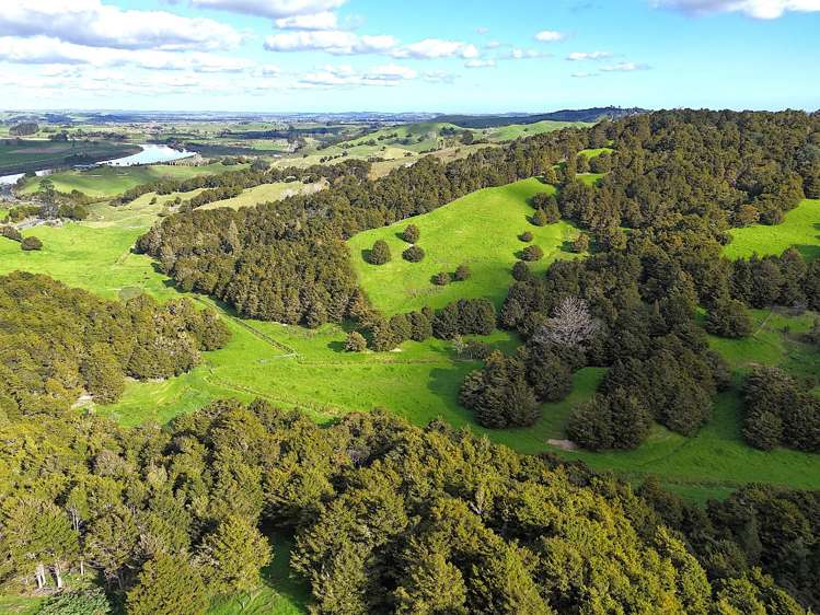 Ounuwhao Road Dargaville Surrounds_21