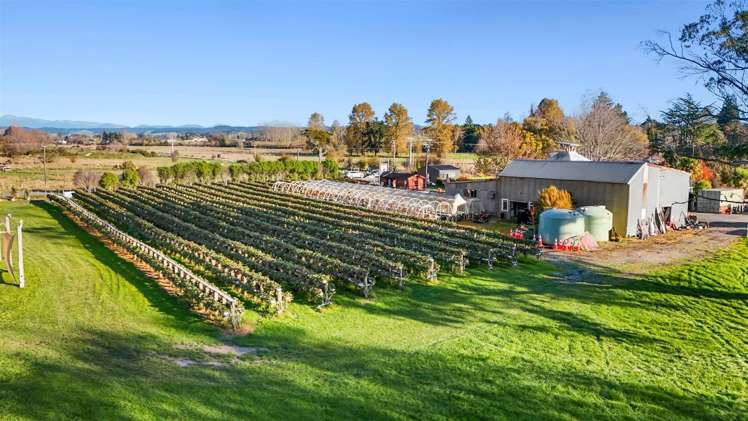 20 Neudorf Road Upper Moutere_19