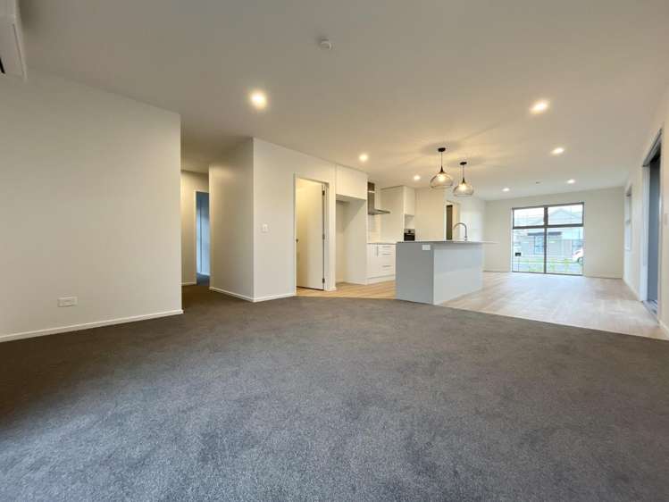 31 Chartreuse Way 11103_6