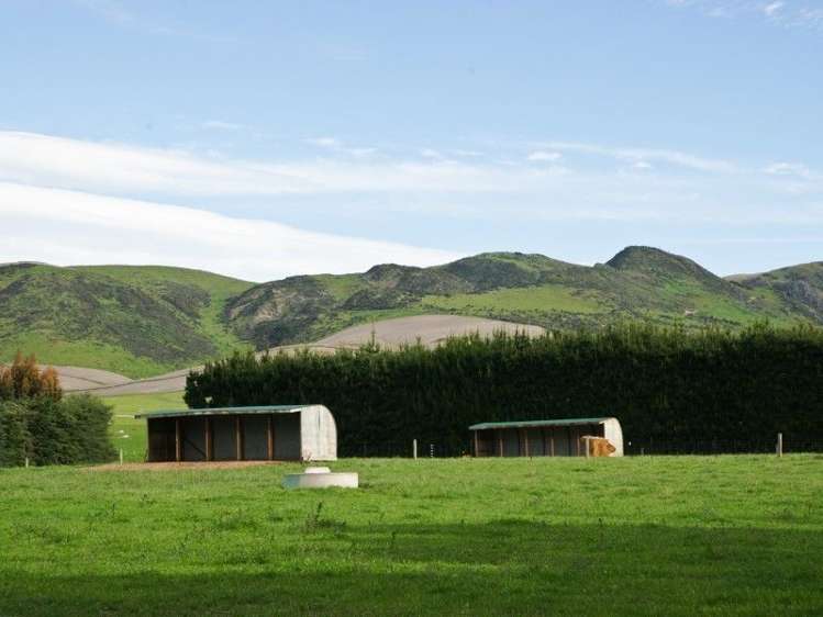 587 Eastern Road North Otago Surrounds_11