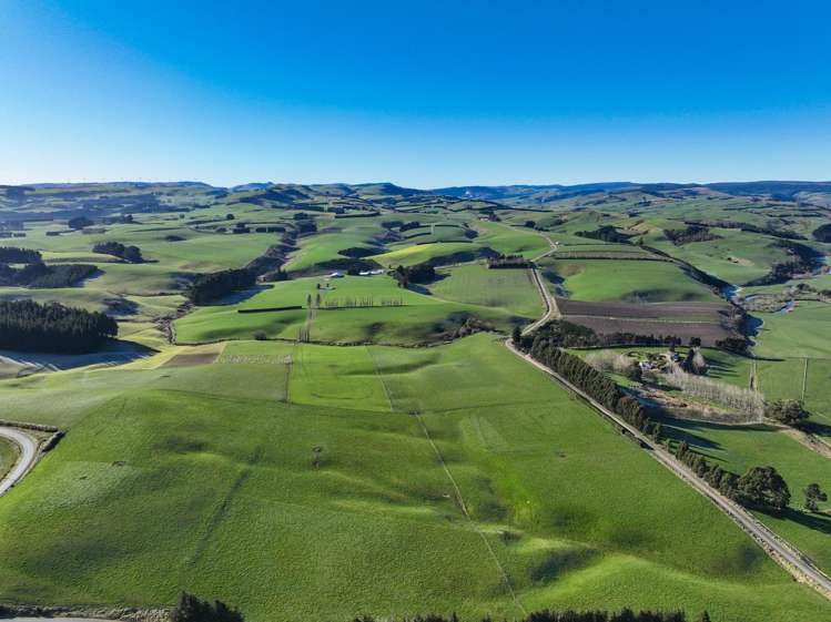 125B Davidson Road Mimihau_15