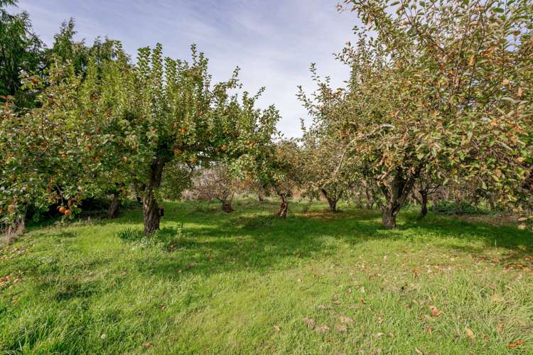 8 Roches Lane Lumsden Surrounds_13