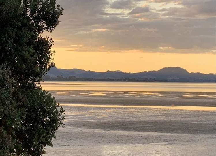 313 Pahoia Road Whakamarama_24