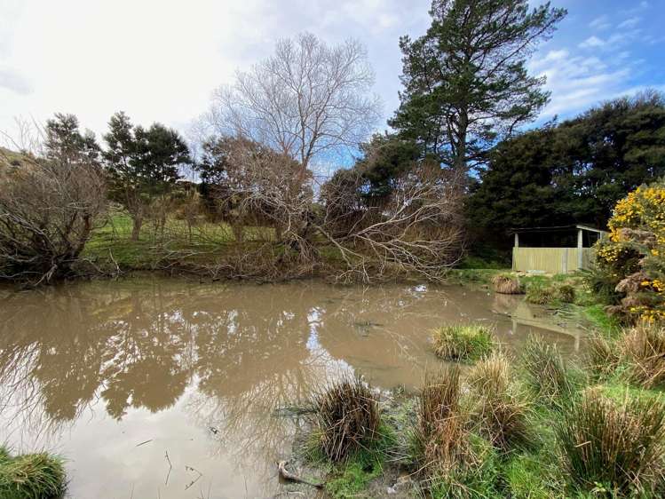 121 Silverstream Valley Road North Taieri_19