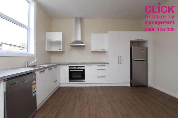 177 Queen Street North Dunedin_12