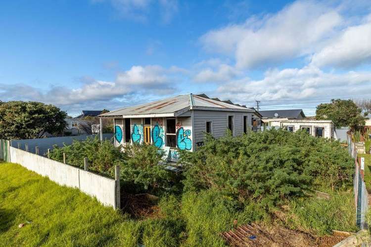 87 Hinau Street_0