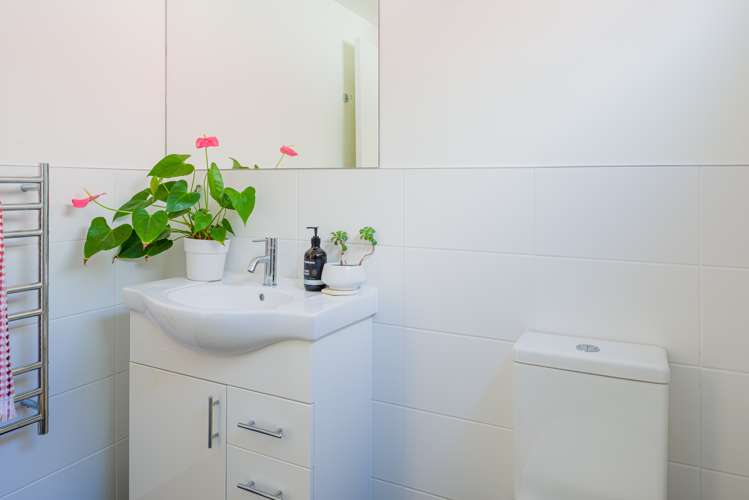 35b Ngaio Road Kelburn_20