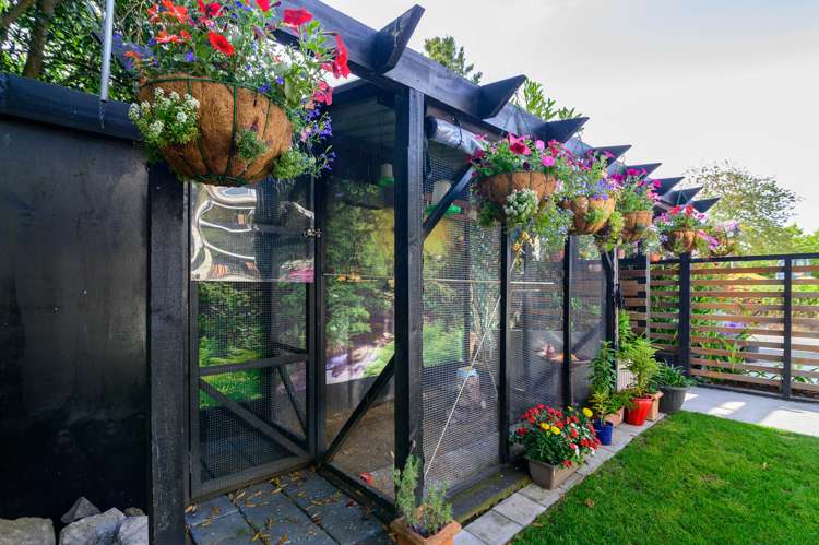 349a Old Taupo Road Springfield_16