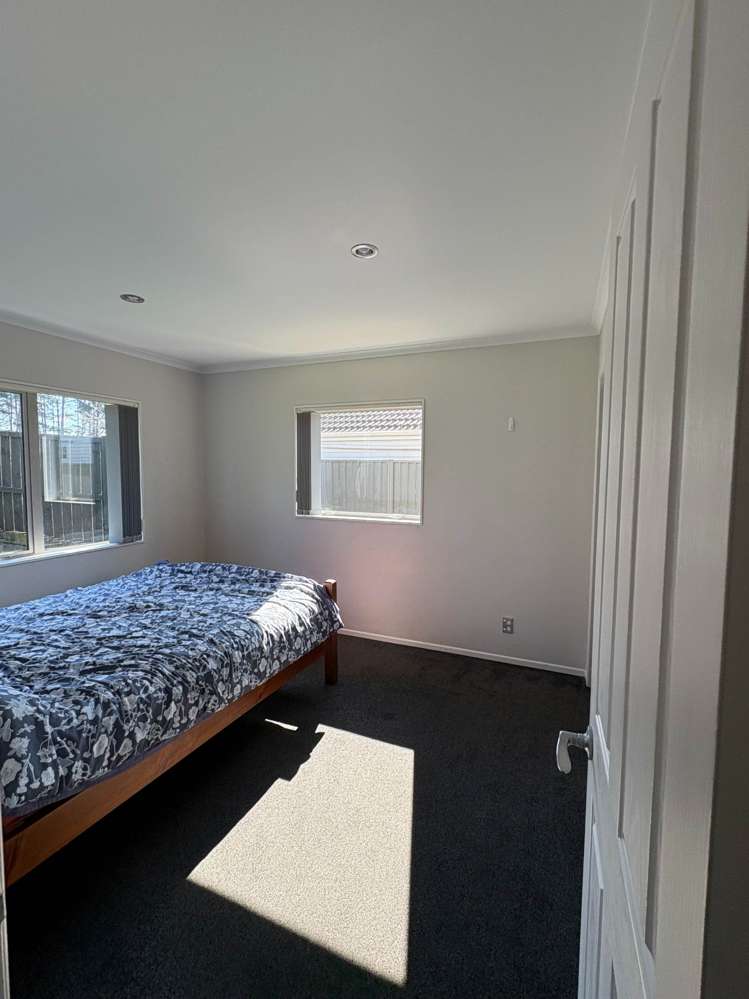 9b Arran Street Avondale_5