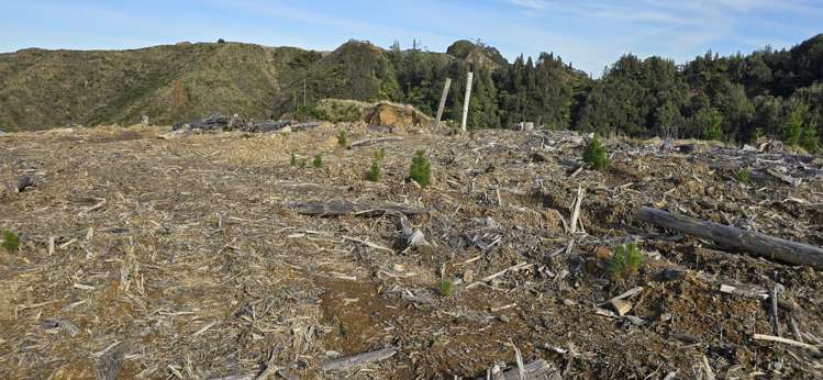 Junction Road Stratford_8