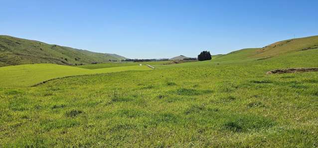 28 Range Road Gore_4